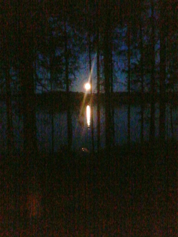 Villa Nina Luikonlahti Buitenkant foto